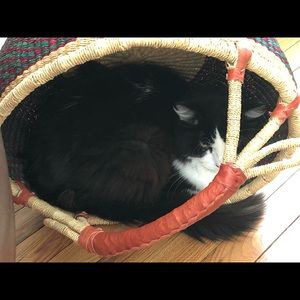 Meet your Posher, Joey